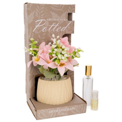 ДЕКОРАТИВНА БЯЛА ОРХИДЕЯ В САКСИЯ С АРОМАТ В ПОДАРЪЧНА КУТИЯ (MY PARIS) 14X14X30СМ