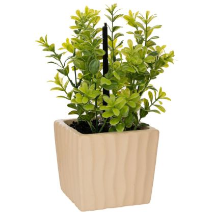 ДЕКОРАТИВНА ЗЕЛЕНА ТРЕВА В САКСИЯ С АРОМАТ В ПОДАРЪЧНА КУТИЯ (АРОМАТ НА ЧАЙ ОТ НЕФРИТЕН ДРАКОН) 15X12X27СМ