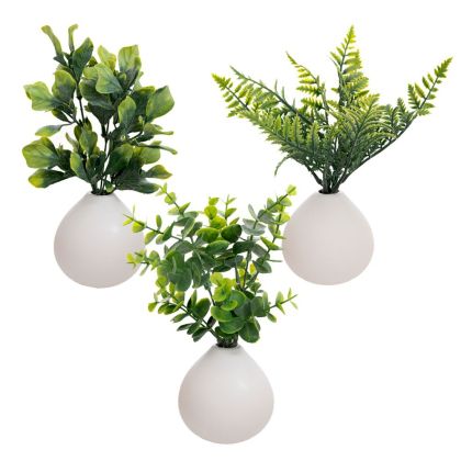 ДЕКОРАТИВНО РАСТЕНИЕ 26 СМ В КЕРАМИЧНА САКСИЯ 10X10 СМ