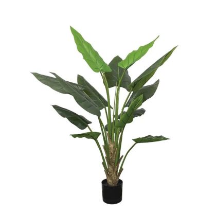 Истинско дърво в саксия - в150 см 2/kib