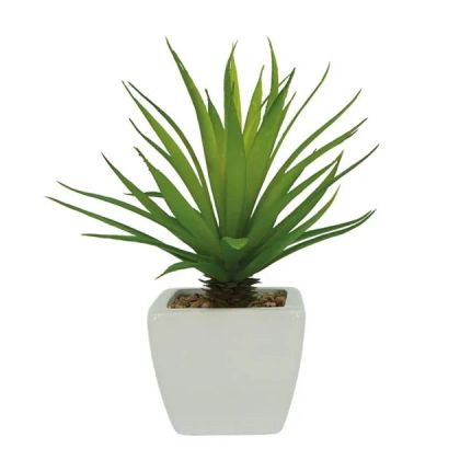 Кактус в керамична бяла саксия - в20см 6/72kib