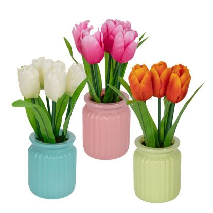 ЛАЛЕ 21 СМ В САКСИЯ С ТРЕВА 7X9 СМ