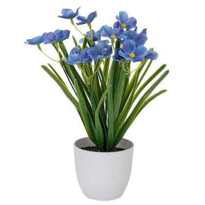 ЛИЛАВИ ЦВЕТЯ В ПЛАСТМАСОВА САКСИЯ 10X9X28 СМ