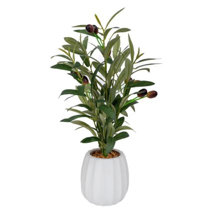 МАСЛИНОВО ДЪРВО 42 СМ В КЕРАМИЧНА САКСИЯ 11X11 СМ