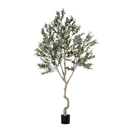Маслиново дърво в саксия, сглобено - в240 см 2/kib