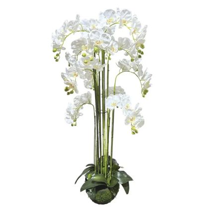 Орхидейно растение бели цветя Real Touch - в135 см 1/кутия