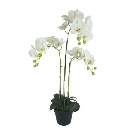 Орхидейно растение бели цветя Real Touch в саксия - в82 см 2/8 кутия