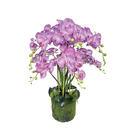 Орхидейно растение лилаво с бели раиви, цветя, истинско докосване - в80 см 1/kib