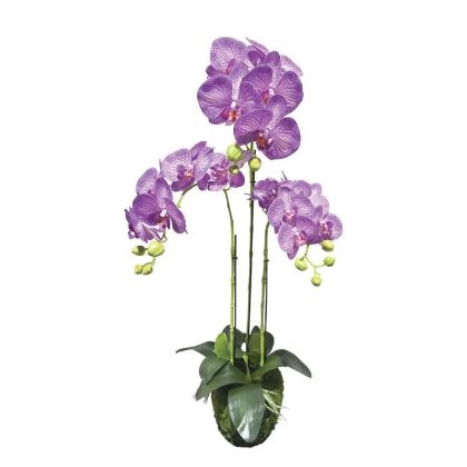 Орхидейно растение лилаво с бели раиви, цветя, истинско докосване - в82 см 2/kib