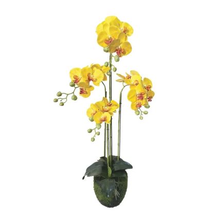 Орхидейно растение с жълти цветя Real Touch - в98 см 2/kib