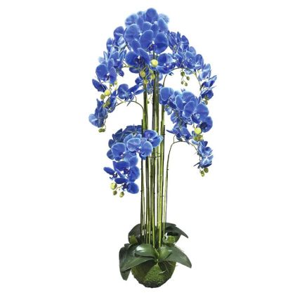 Орхидейно растение синьо цветя истинско докосване - в135 см 1/kib