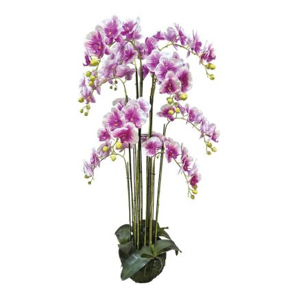 Орхидейно растение, двуцветни лилаво/бели цветя, истинско допълнение - в135 см 1/кутия