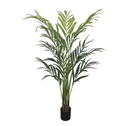 Палма в саксия - в 190 см 4/kib