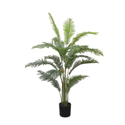 Папратово дърво в саксия - в90 см 6/kib