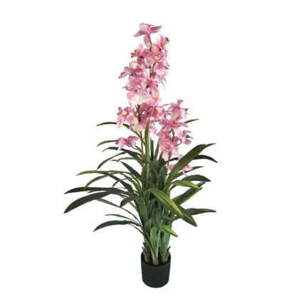 Розова орхидея цимбидия в саксия - в150 см 2/kib
