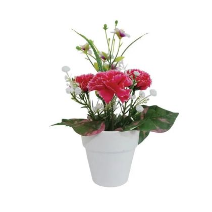 Саксия Fl-9 с арерат от фуксия - високопроизход 22 см