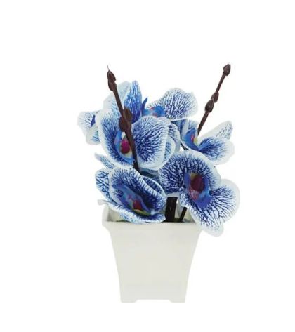 Сино цвете в саксия 7x19см 1/144kib