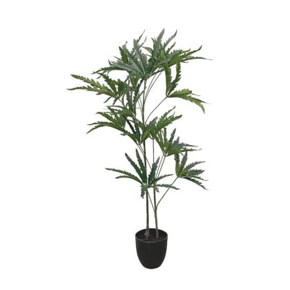 Ябълково дърво в саксия - 100 см, 6 бр.