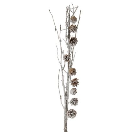 Декоративна клонка