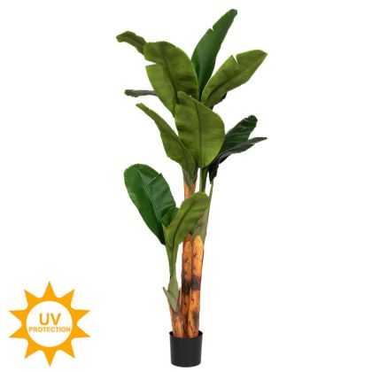 Banana tree 180 cm with UV and fire protection