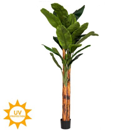 Banana tree 275 cm with UV and fire protection