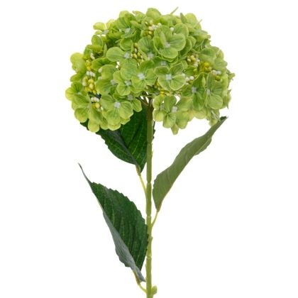 Hydrangea stem Real Touch in dark green color D18X61.5 cm