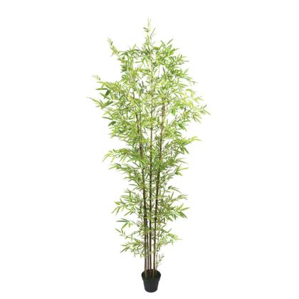 Бамбуково дърво Real Touch в саксия - H270CM 2/BOX