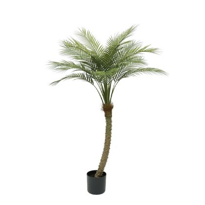 Изкуствено палмово дърво Real Touch в саксия - 155CM 4/BOX