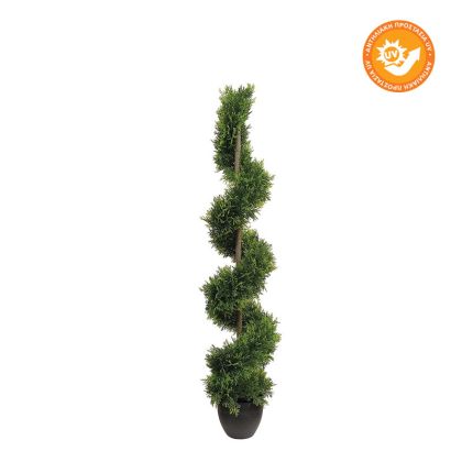 Thuja spiral with UV protection - H120CM 2/BOX