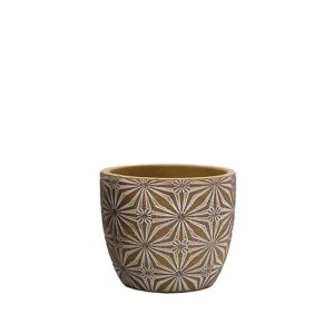 САКСИЯ КАФЯВАО/БЯЛА КРЪГЛА С ЦВЕТЕН МОДЕЛ МИНИ - Φ11x10.5см 24/8 КУТИЙКИ