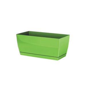 САКСИЯ КУБИ, РАЗМЕР 24x12x11см, 1/10 КУТИЯ