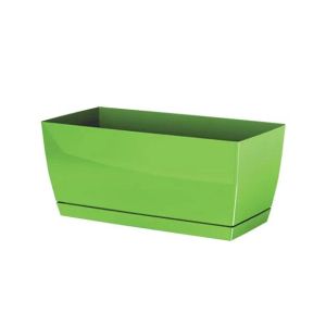 САКСИЯ КУБИ, РАЗМЕР 29x14.2x13.6 см, 1/10 КУТИЯ