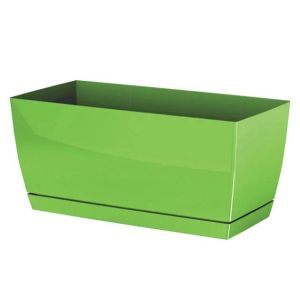 САКСИЯ КУБИ, РАЗМЕР 39x19x18.2 см, 1/10 КУТИЯ