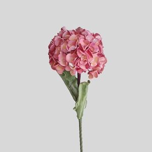ДЕКОРАТИВНА КЛОНКА ХОРТЕНЗИЯ, СЬОМГА-РОЗОВА 20X90СМ