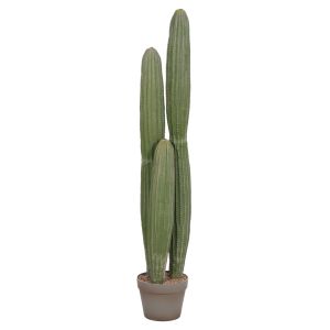 ДЕКОРАТИВНО РАСТЕНИЕ В САКСИЯ HM4744 КАКТУС Φ17.5X105HCM.