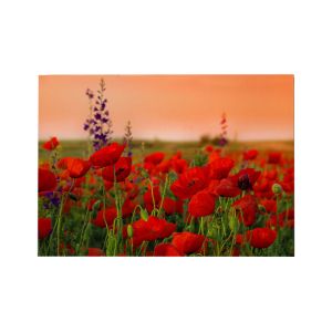 КАРТИНА GOBI HM4760 ПРИНТИРАНО ПЛАТНО 70X3 (ДЕБЕЛИНА)X50HCM.