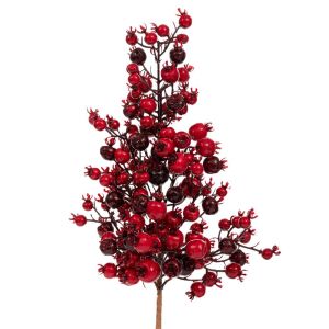 ЧЕРВЕН КЛОН С ПЛОДОВЕ 50 СМ