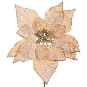 КОЛЕЗНА ЗВЕЗДА КЛОНКА 22Х24СМ