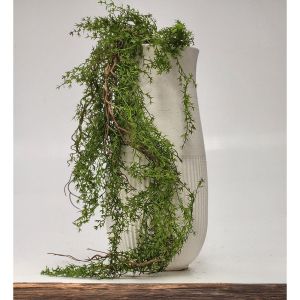 ЗЕЛЕН ВИСЯЩ ХРАСТ 120СМ