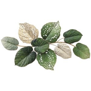 МЕТАЛНА СТЕННА ДЕКОРАЦИЯ С ЛИСТА - 84.5x46.4x5.7см 4 бр./КУТИЯ