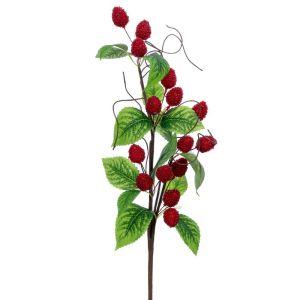 СТЪБЛО НА ЧЕРВЕНИ ПЛОДОВЕ