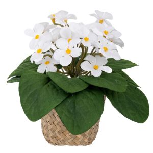 БЕЛИ ЦВЕТЯ 17 СМ В САКСИЯ ОТ МОРСКА ТРЕВА 9X7 СМ