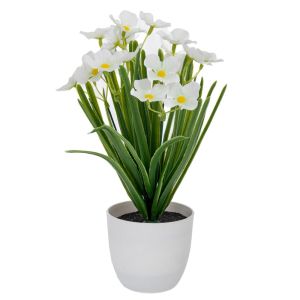 БЕЛИ ЦВЕТЯ В ПЛАСТМАСОВА САКСИЯ 10X9X28 СМ