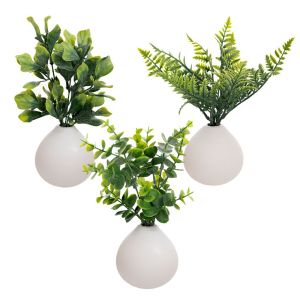 ДЕКОРАТИВНО РАСТЕНИЕ 26 СМ В КЕРАМИЧНА САКСИЯ 10X10 СМ