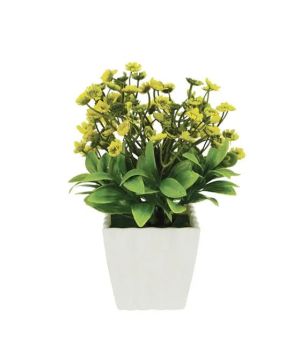 Жълто цвете в саксия 8x20см 1/120kib