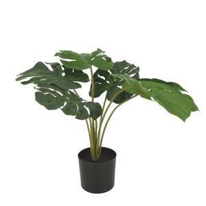 Зелено дърво чудовище в пластмасова саксия - в46см 6/kib