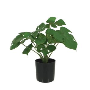 Зелено дърво чудовище в саксия - в30см 12/kib