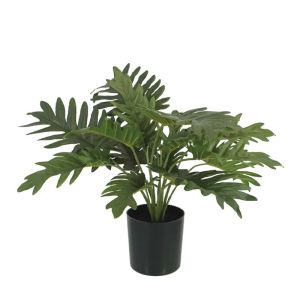 Истинско докосване, зелено, нежно дърво в саксия - в39 см 12/kib