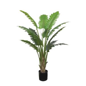 Истинско дърво в саксия - в150 см 2/kib