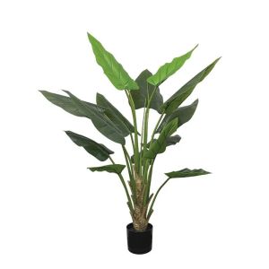 Истинско дърво в саксия - в150 см 2/kib